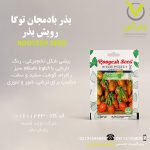 بذر بادمجان توگا رویش بذر