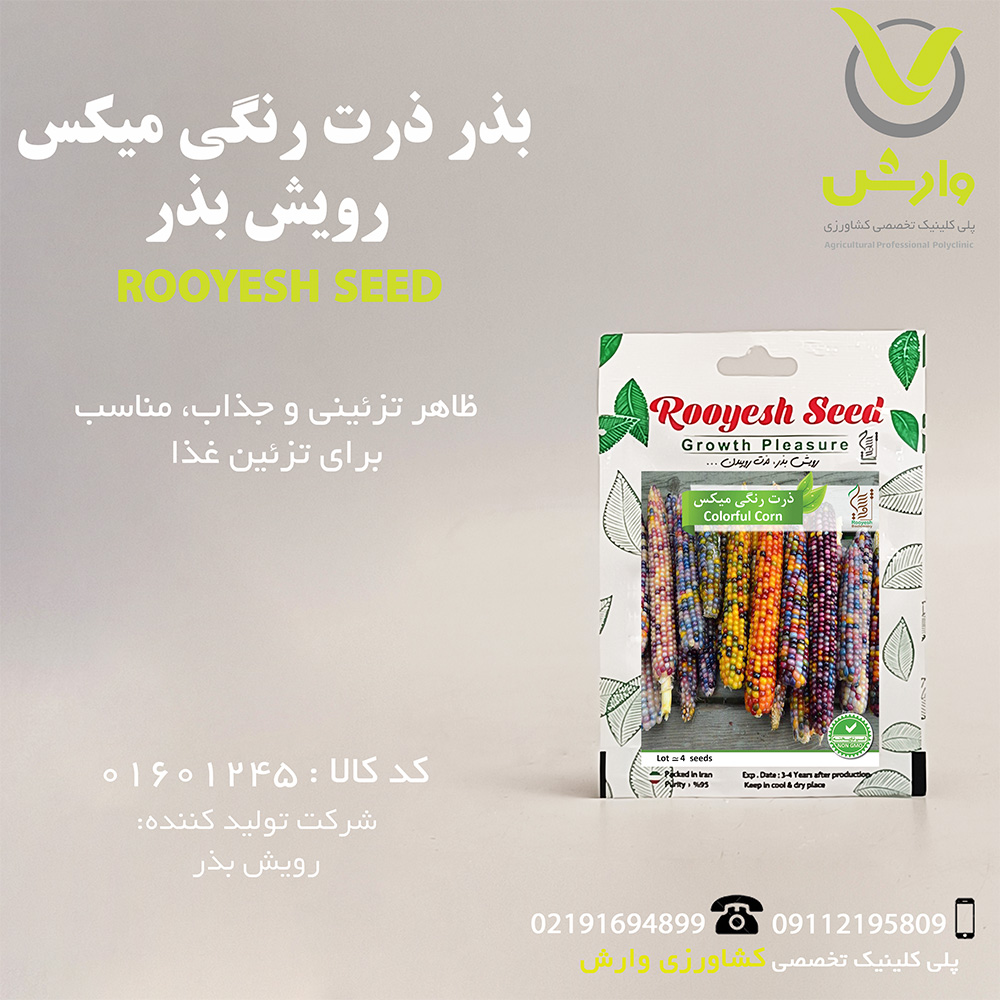 بذر ذرت رنگی میکس رویش بذر