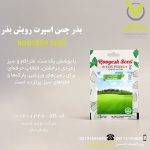 بذر چمن اسپرت رویش بذر