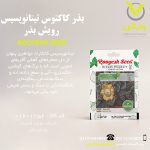 بذر کاکتوس تیتانوپسیس رویش بذر