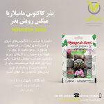 بذر کاکتوس مامیلاریا میکس رویش بذر