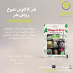 بذر کاکتوس متنوع رویش بذر
