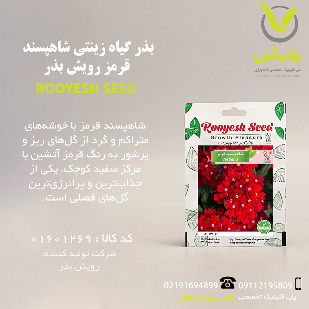 بذر گیاه زینتی شاهپسند قرمز رویش بذر