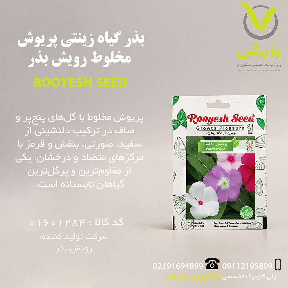 بذر گیاه زینتی پریوش مخلوط رویش بذر
