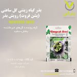 بذر گیاه زینتی گل ساعتی (پشن فروت) رویش بذر