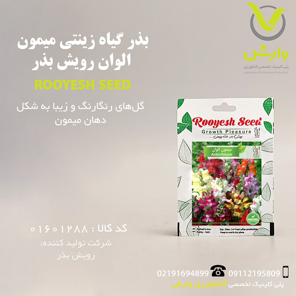بذر گیاه زینتی میمون الوان رویش بذر