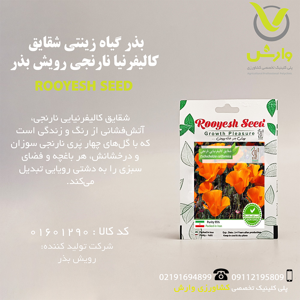 بذر گیاه زینتی شقایق کالیفرنیا نارنجی رویش بذر