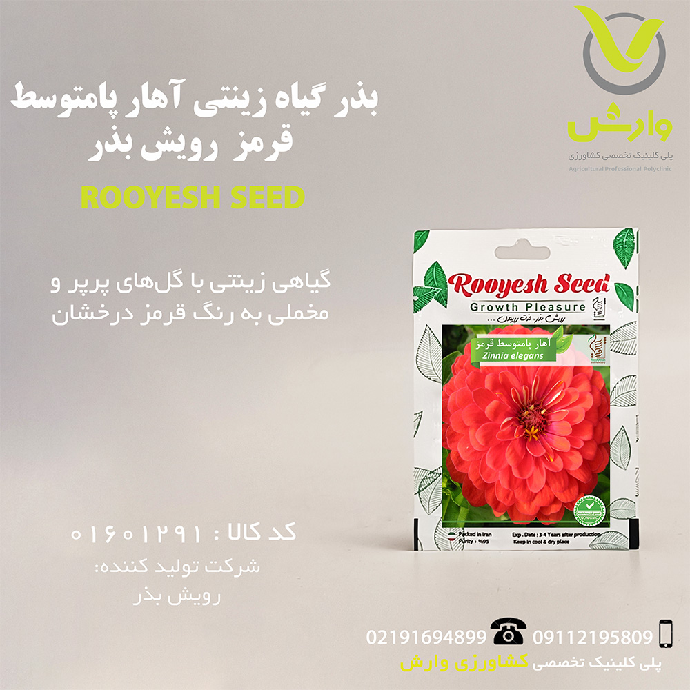 بذر گیاه زینتی آهار پامتوسط قرمز رویش بذر