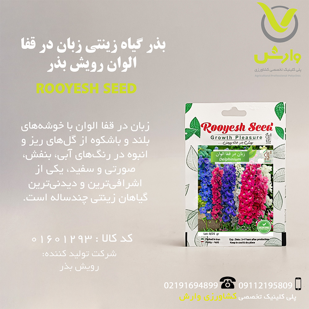 بذر گیاه زینتی زبان در قفا الوان رویش بذر
