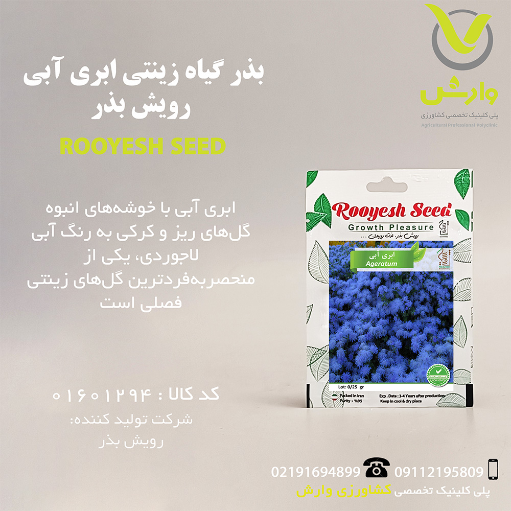 بذر گیاه زینتی ابری آبی رویش بذر