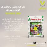 بذر گیاه زینتی تاج الملوک الوان رویش بذر