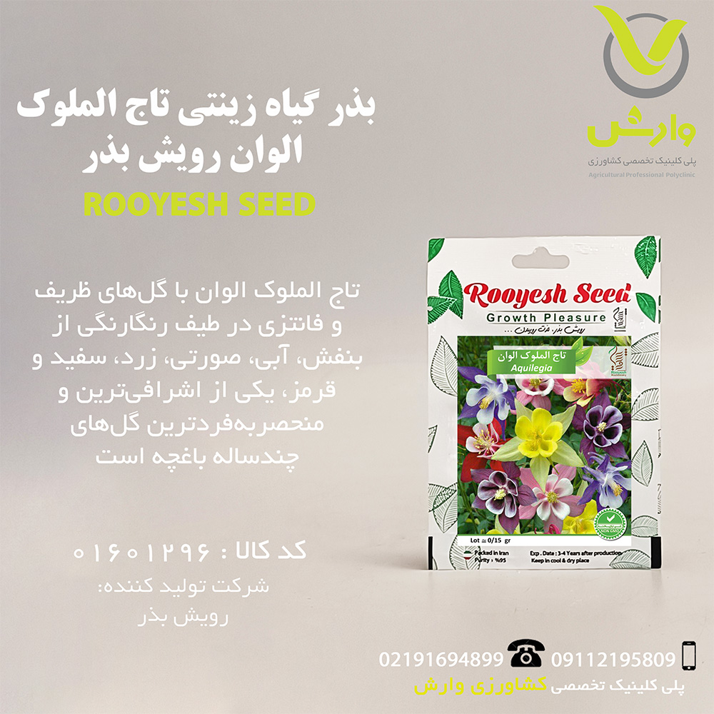 بذر گیاه زینتی تاج الملوک الوان رویش بذر
