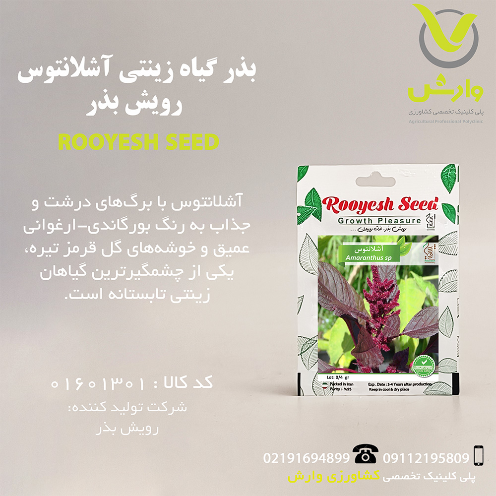 بذر گیاه زینتی آشلانتوس رویش بذر