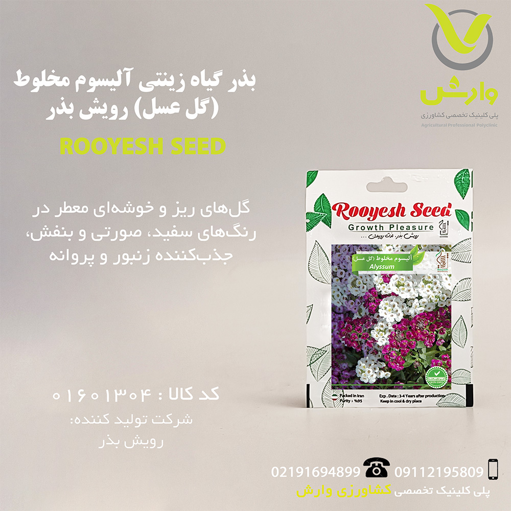 بذر گیاه زینتی آلیسوم مخلوط (گل عسل) رویش بذر
