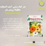 بذر گیاه زینتی آصف السلطنه مخلوط رویش بذر