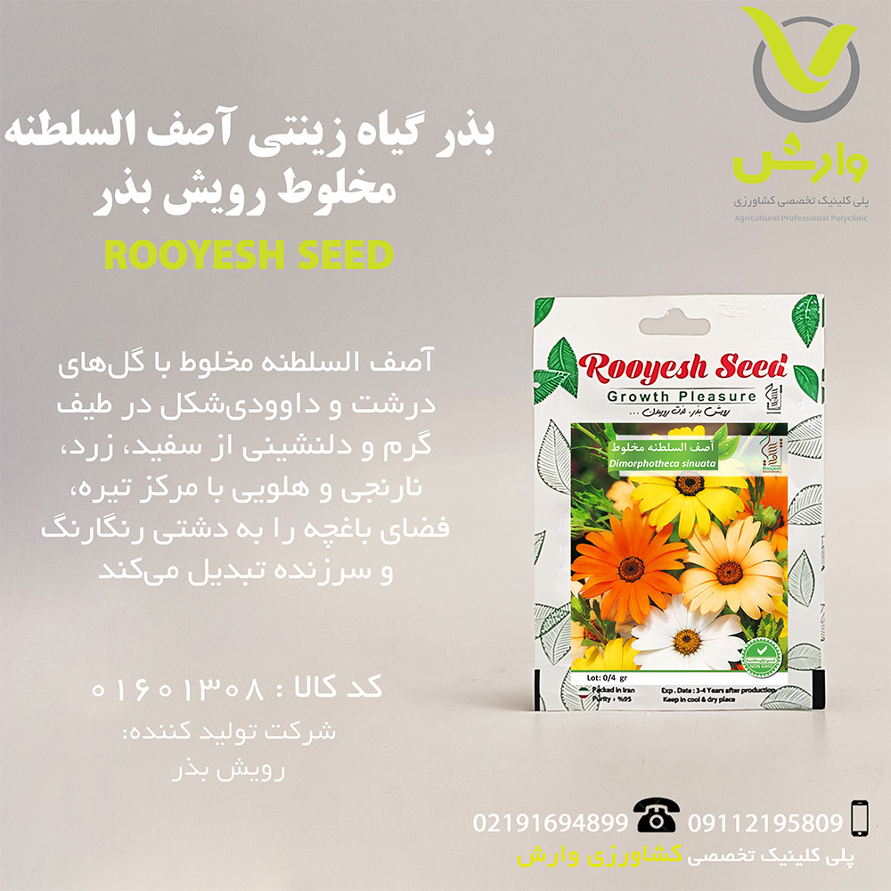 بذر گیاه زینتی آصف السلطنه مخلوط رویش بذر