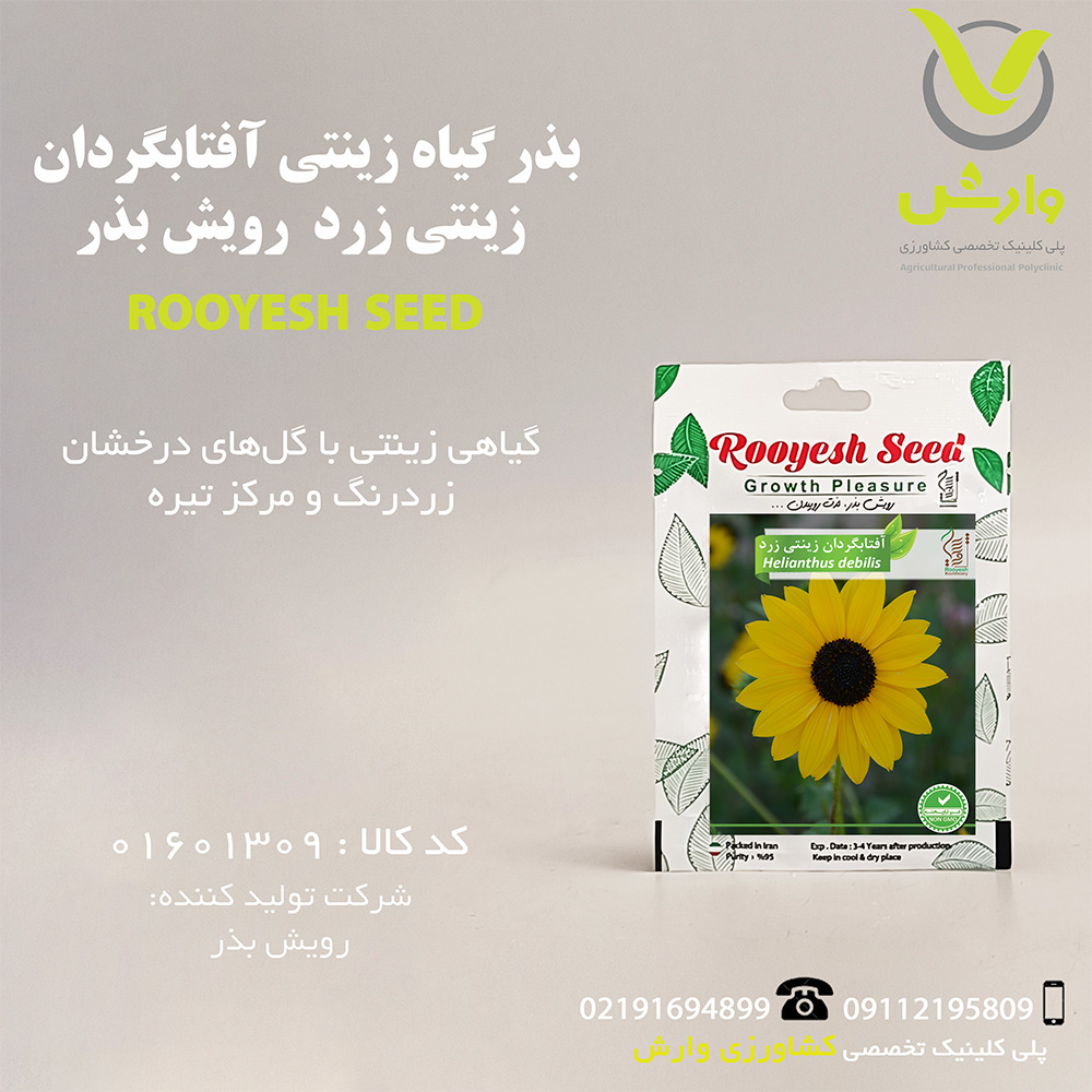 بذر گیاه زینتی آفتابگردان زینتی زرد رویش بذر