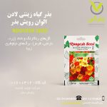 بذر گیاه زینتی لادن الوان رویش بذر