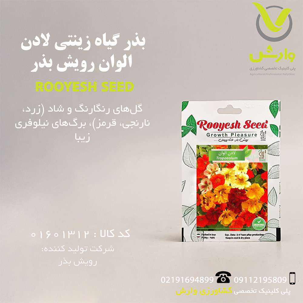 بذر گیاه زینتی لادن الوان رویش بذر