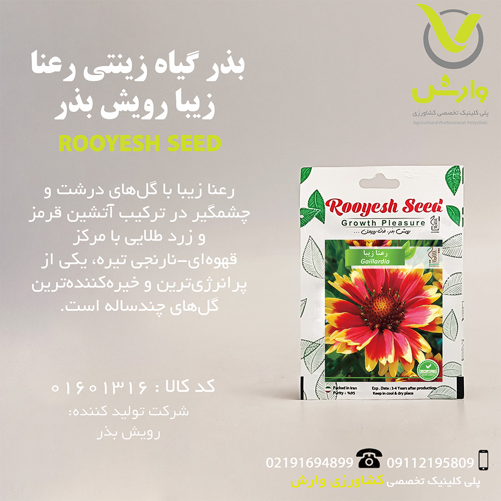 بذر گیاه زینتی رعنا زیبا رویش بذر