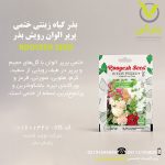 بذر گیاه زینتی ختمی پرپر الوان رویش بذر