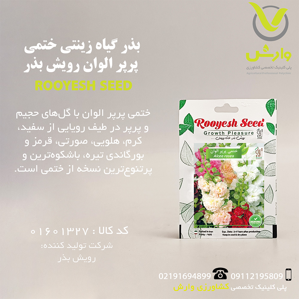 بذر گیاه زینتی ختمی پرپر الوان رویش بذر