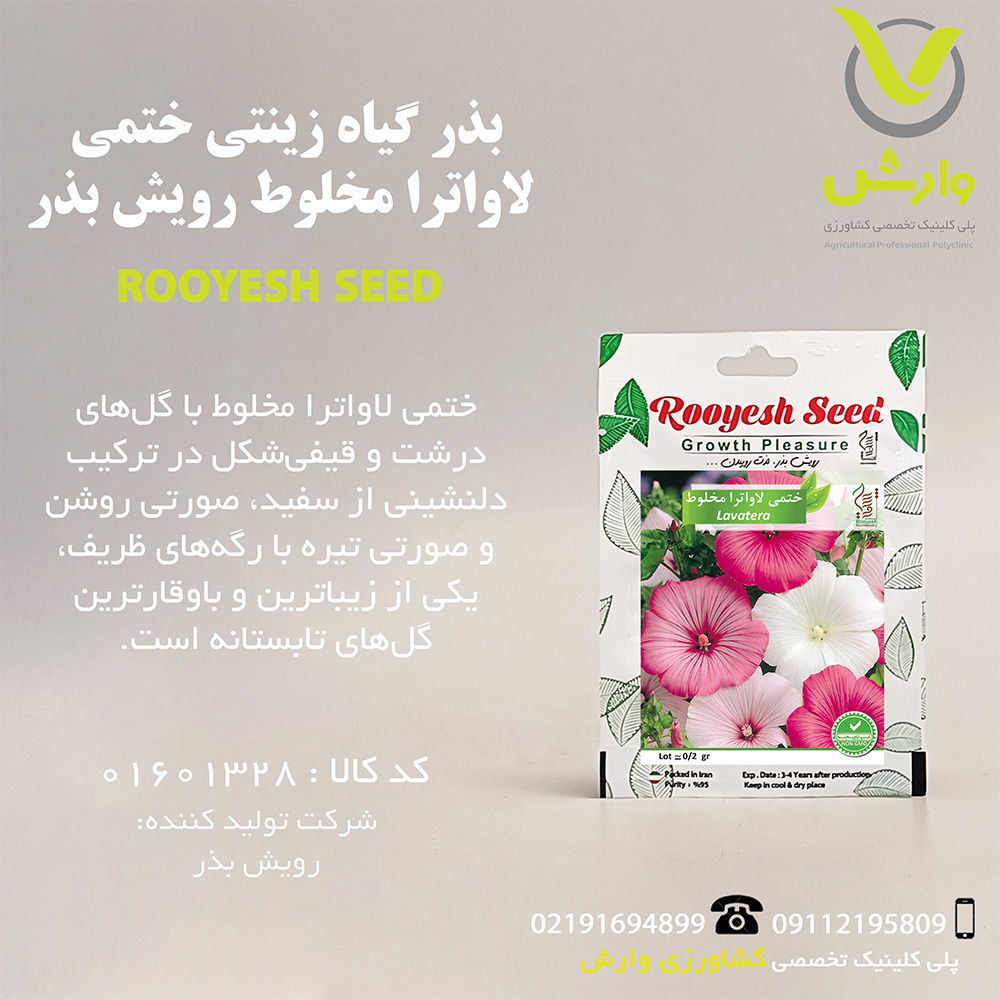 بذر گیاه زینتی ختمی لاواترا مخلوط رویش بذر