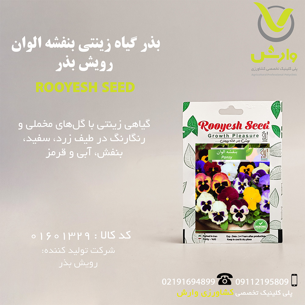 بذر گیاه زینتی بنفشه الوان رویش بذر