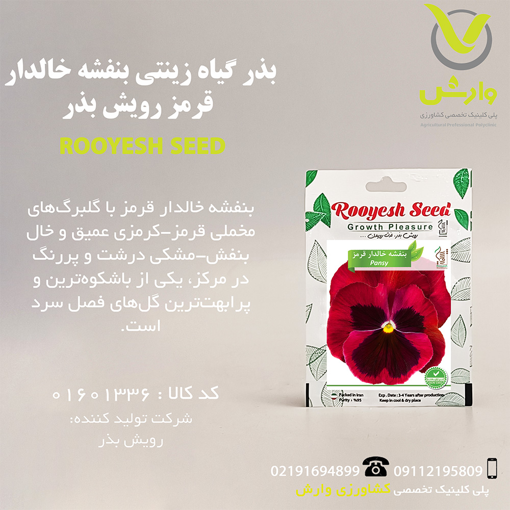 بذر گیاه زینتی بنفشه خالدار قرمز رویش بذر