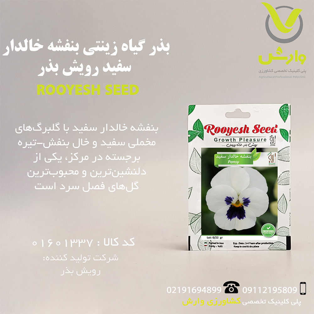 بذر گیاه زینتی بنفشه خالدار سفید رویش بذر