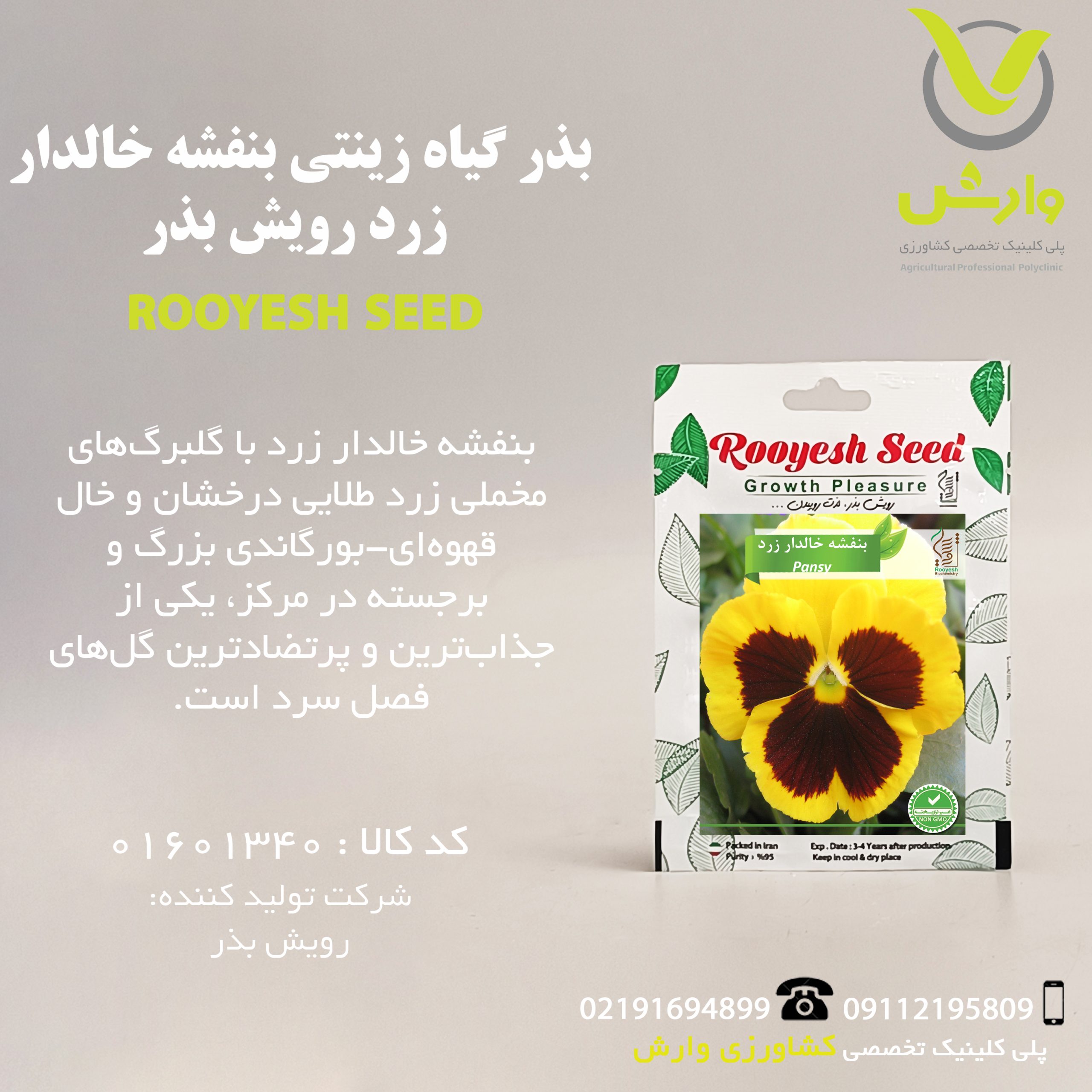 بذر گیاه زینتی بنفشه خالدار زرد رویش بذر