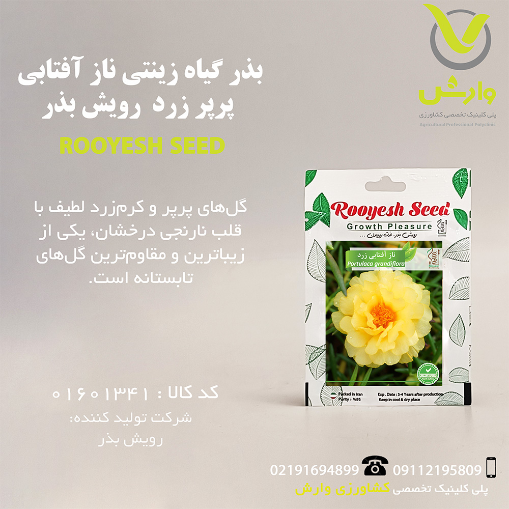 بذر گیاه زینتی ناز آفتابی پرپر زرد رویش بذر