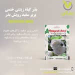 بذر گیاه زینتی ختمی پرپر سفید رویش بذر
