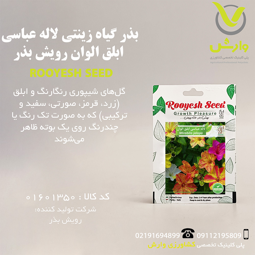 بذر گیاه زینتی لاله عباسی ابلق الوان رویش بذر