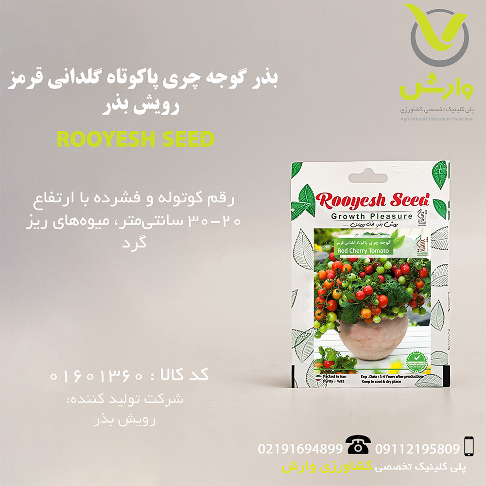 بذر گوجه چری پاکوتاه گلدانی قرمز رویش بذر