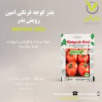بذر گوجه فرنگی امین رویش بذر
