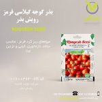 بذر گوجه گیلاسی قرمز رویش بذر