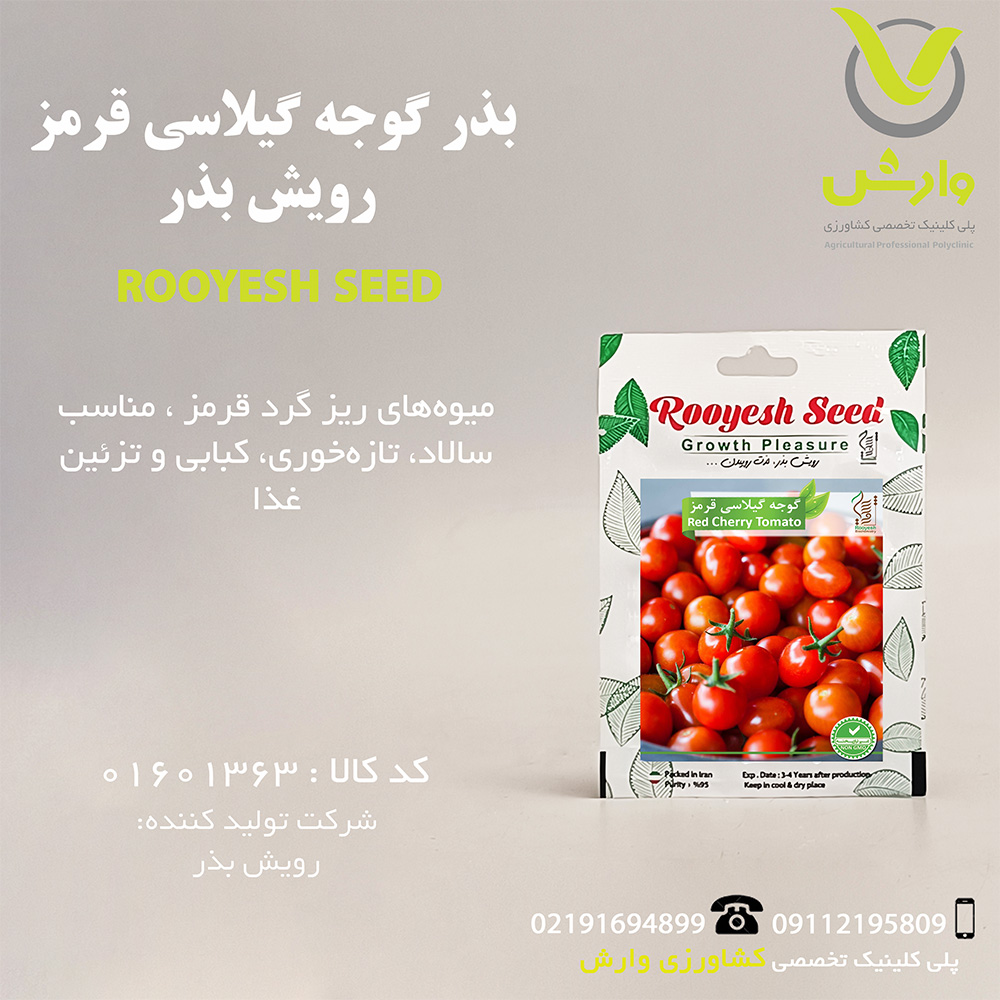 بذر گوجه گیلاسی قرمز رویش بذر