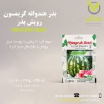 بذر هندوانه کریمسون رویش بذر
