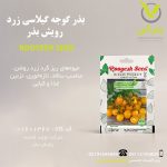 بذر گوجه گیلاسی زرد رویش بذر