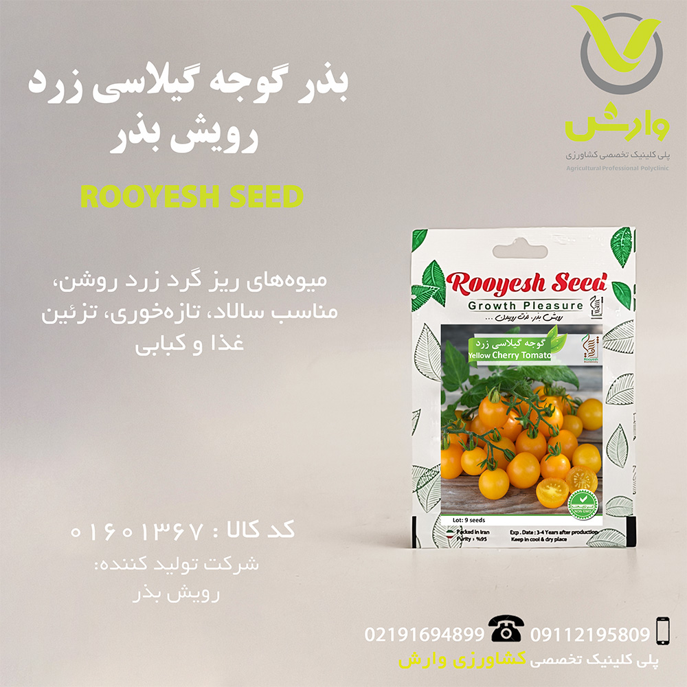 بذر گوجه گیلاسی زرد رویش بذر