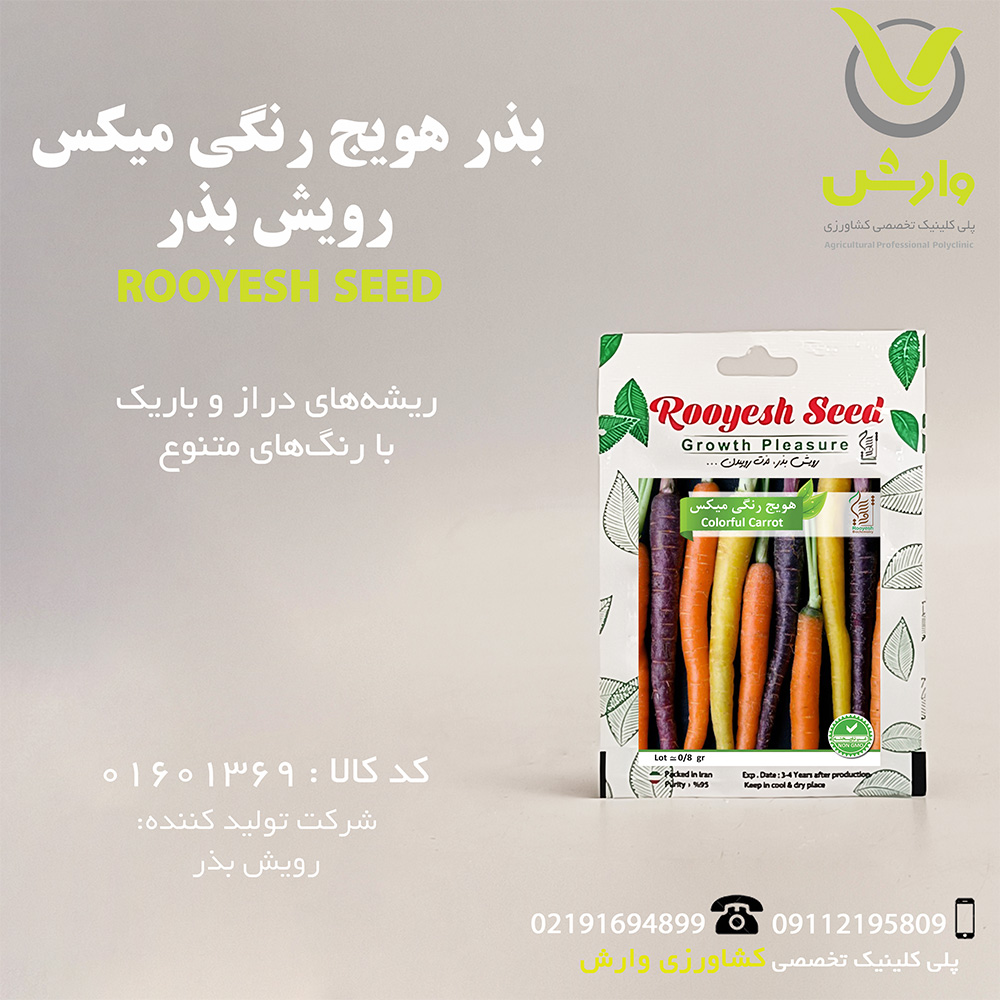 بذر هویج رنگی میکس رویش بذر