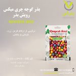بذر گوجه چری میکس رویش بذر