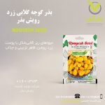 بذر گوجه گلابی زرد رویش بذر