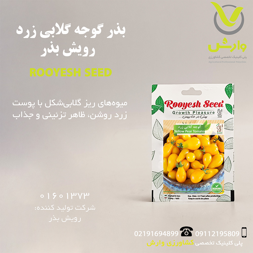 بذر گوجه گلابی زرد رویش بذر