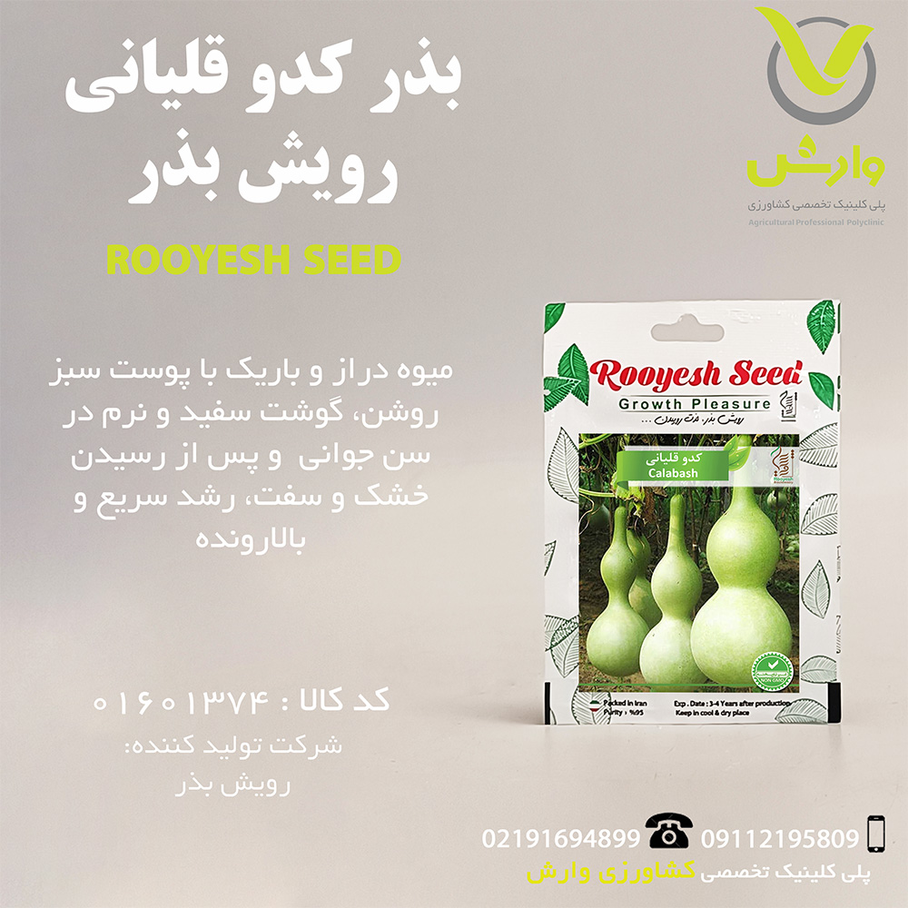 بذر کدو قلیانی رویش بذر