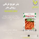 بذر هویج فرنگی رویش بذر