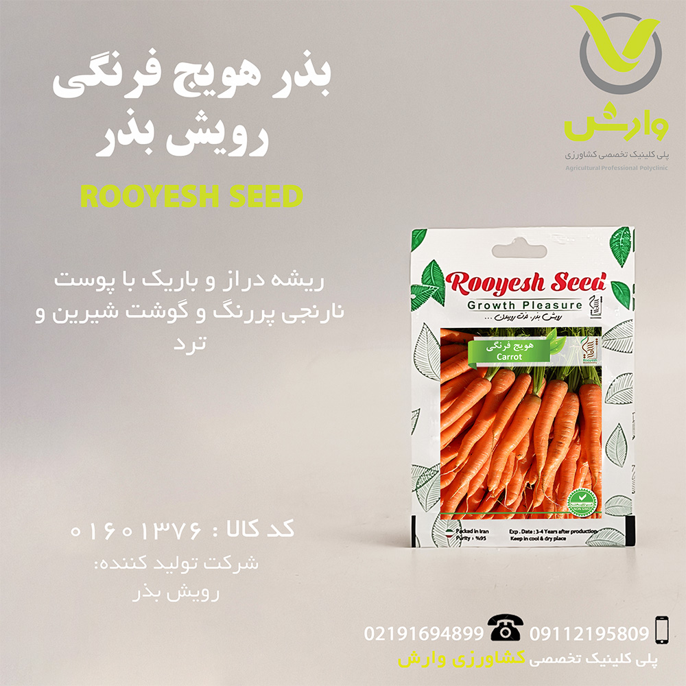 بذر هویج فرنگی رویش بذر