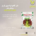 بذر کاهو فرانسوی قرمز رویش بذر