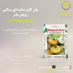 بذر کدو ستاره ای میکس رویش بذر